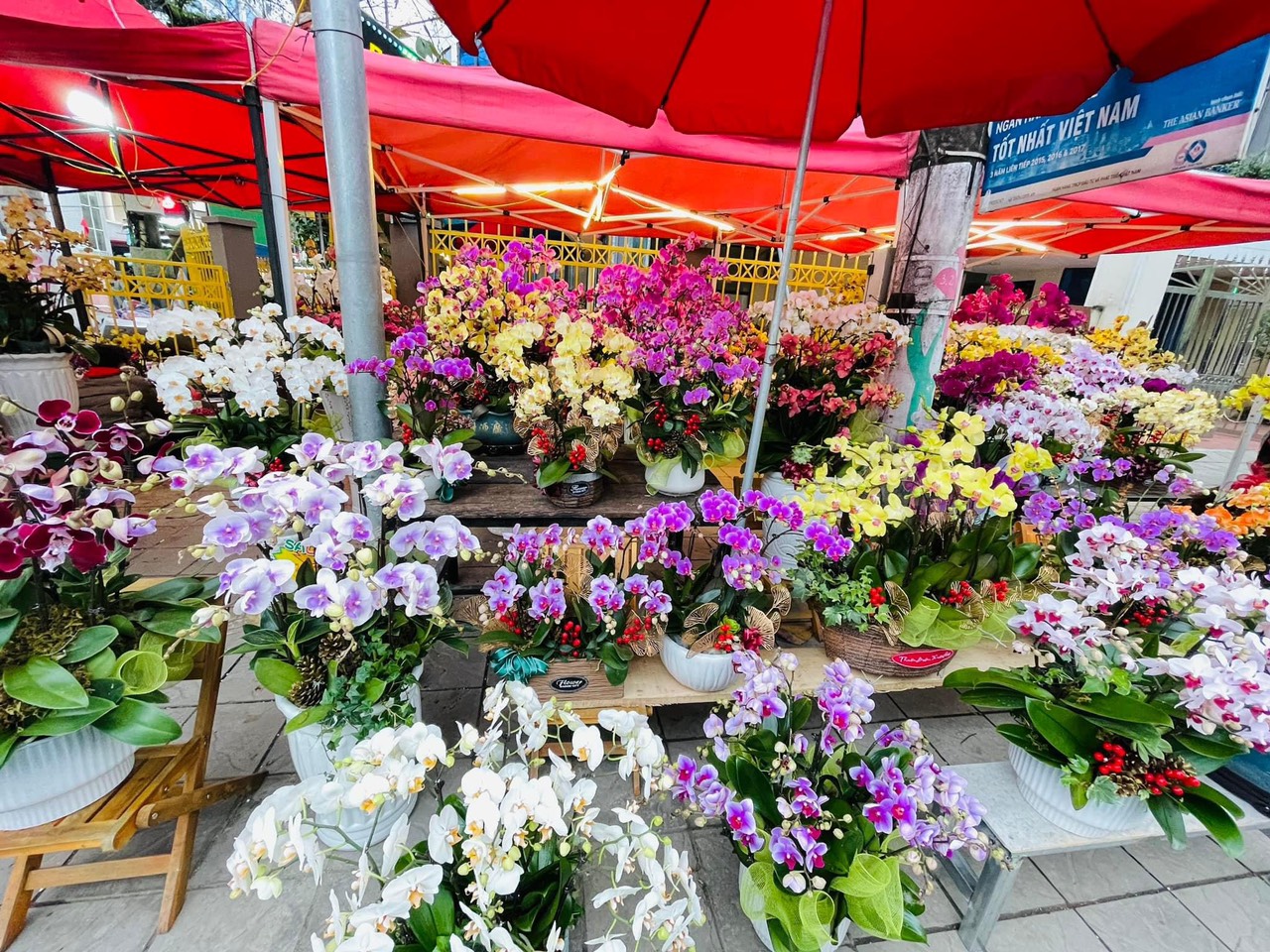 Nhộn nhịp thị trường hoa Tết tại thành phố Hà Giang