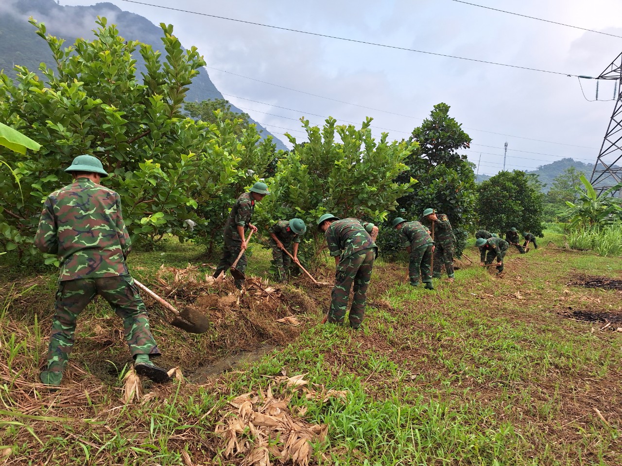 UBND phường Ngọc Hà hỗ trợ nhân dân thực hiện cải tạo vườn tạp