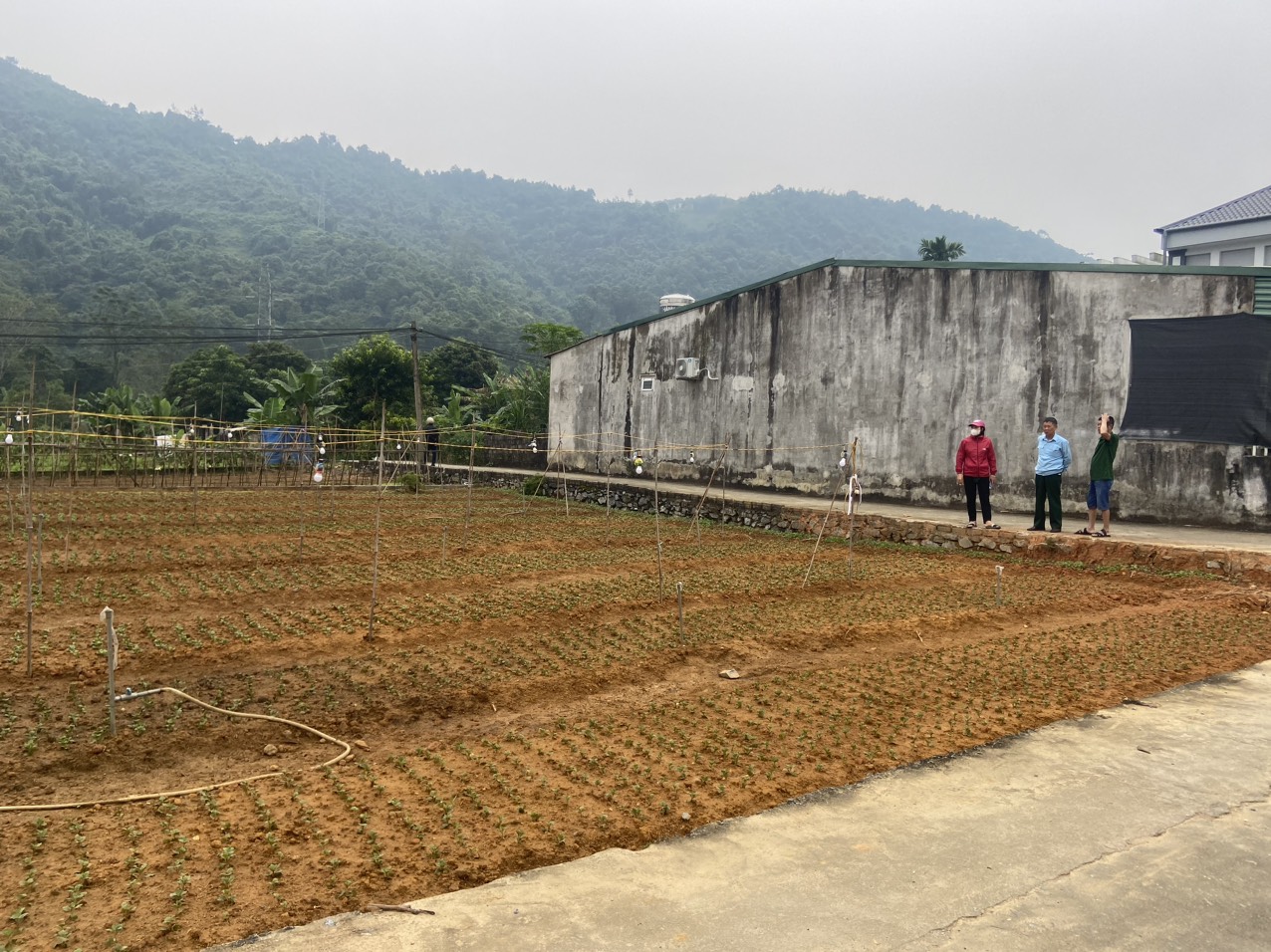 Phó Chủ tịch UBND phường Ngọc Hà kiểm tra tiến độ cải tạo vườn tạp trên địa bàn tổ 9